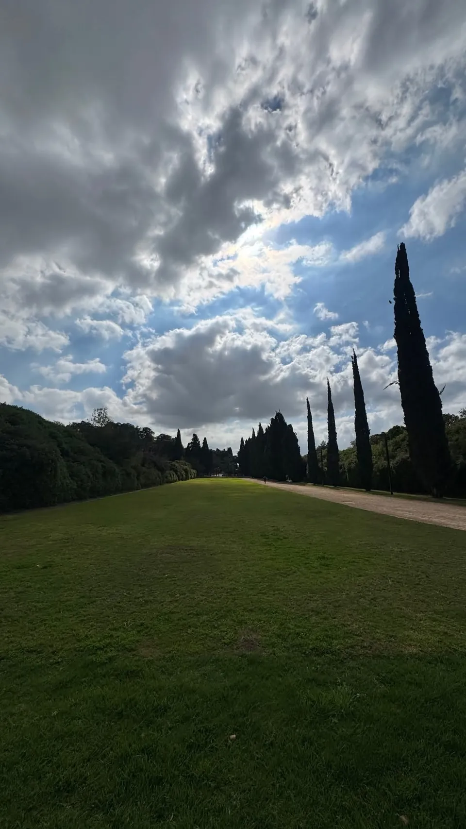 Cypress trees and lawn under a cloudy sky